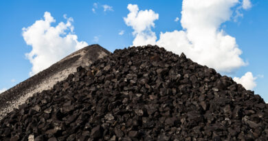 За два месяца почти 2 тысячи жителей Алтайского края запросили компенсации за резко подорожавший уголь