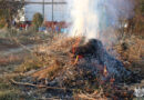 Об опасности сжигания сухой травы и растительности